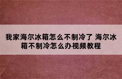 我家海尔冰箱怎么不制冷了 海尔冰箱不制冷怎么办视频教程